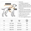 Cowboy Rider Pet Costume for Dogs and Cats - Image 7