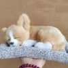 Sleeping Puppy Car Dashboard Ornament - Image 16