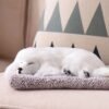Sleeping Puppy Car Dashboard Ornament - Image 11