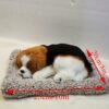 Sleeping Puppy Car Dashboard Ornament - Image 4